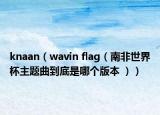 knaan（wavin flag（南非世界杯主题曲到底是哪个版本 ））