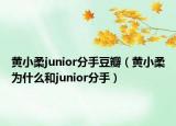 黄小柔junior分手豆瓣（黄小柔为什么和junior分手）