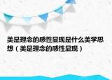 美是理念的感性显现是什么美学思想（美是理念的感性显现）
