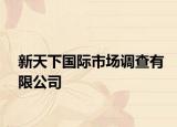 新天下国际市场调查有限公司