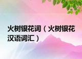 火树银花词（火树银花 汉语词汇）