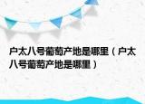 户太八号葡萄产地是哪里（户太八号葡萄产地是哪里）