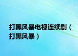 打黑风暴电视连续剧（打黑风暴）