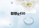 联想g450