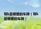 鄂k是哪里的车牌（鄂k是哪里的车牌）