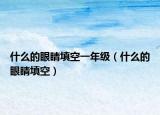 什么的眼睛填空一年级（什么的眼睛填空）