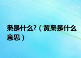 枭是什么?（黄枭是什么意思）