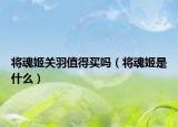 将魂姬关羽值得买吗（将魂姬是什么）