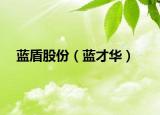 蓝盾股份（蓝才华）