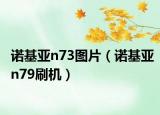 诺基亚n73图片（诺基亚n79刷机）