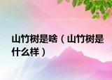 山竹树是啥（山竹树是什么样）