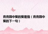 青青园中葵的葵是指（青青园中葵的下一句）