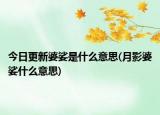 今日更新婆娑是什么意思(月影婆娑什么意思)
