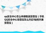 qq安全中心怎么申请取消至尊宝（手机QQ安全中心至尊宝怎么开启?如何开通至尊宝）
