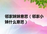 邻家妹妹意思（邻家小妹什么意思）