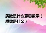 质数是什么意思数学（质数是什么）