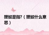 狸奴是指?（狸奴什么意思）