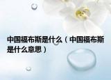 中国福布斯是什么（中国福布斯是什么意思）