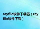rayfile软件下载器（rayfile软件下载）
