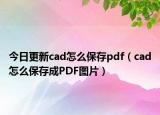 今日更新cad怎么保存pdf（cad怎么保存成PDF图片）