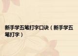 新手学五笔打字口诀（新手学五笔打字）