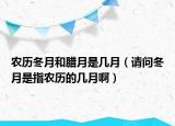 农历冬月和腊月是几月（请问冬月是指农历的几月啊）