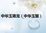 中华玉猪龙（中华玉蟹）