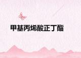 甲基丙烯酸正丁酯