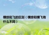横掠和飞的区别（横掠和横飞有什么不同）