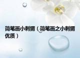 简笔画小刺猬（简笔画之小刺猬优质）