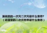 漫画里的一次元二次元是什么意思?（动漫里的二次元世界是什么意思）