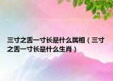 三寸之舌一寸长是什么属相（三寸之舌一寸长是什么生肖）