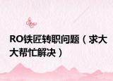 RO铁匠转职问题（求大大帮忙解决）