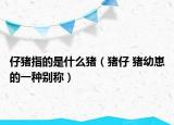 仔猪指的是什么猪（猪仔 猪幼崽的一种别称）