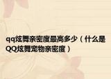 qq炫舞亲密度最高多少（什么是QQ炫舞宠物亲密度）