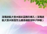 深海迷航大型水族缸蓝图在哪儿（深海迷航大型水族馆怎么建造凝胶球种子种植）