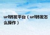 url转发平台（url转发怎么操作）