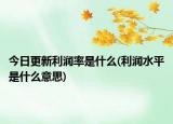 今日更新利润率是什么(利润水平是什么意思)