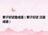 君子好逑是成语（君子好逑 汉语成语）