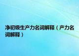 净初级生产力名词解释（产力名词解释）