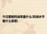 今日更新利润率是什么(利润水平是什么意思)