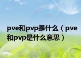 pve和pvp是什么（pve和pvp是什么意思）