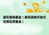 嘉实券商基金（嘉实债券开放式证券投资基金）