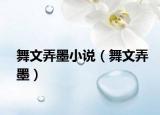 舞文弄墨小说（舞文弄墨）