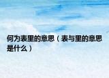何为表里的意思（表与里的意思是什么）