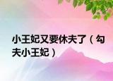 小王妃又要休夫了（勾夫小王妃）