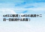 cz6112航班（cz6161航班十二月一日航班什么机型）