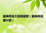 翼神传说大结局视频（翼神传说第Ⅳ部）