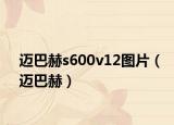 迈巴赫s600v12图片（迈巴赫）