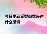 今日更新棠梨煎雪表达什么感情